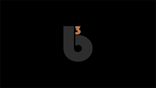 B3